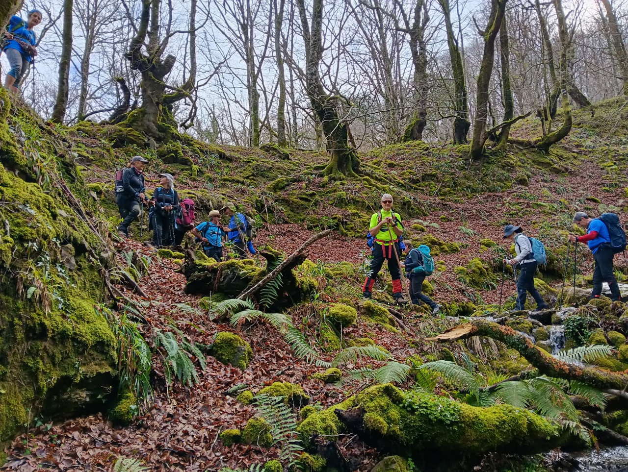 WhatsApp Image 2026-03-08 at 19.34.46